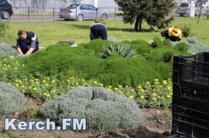 В Керчи за два млн руб в парках и скверах пересчитают зеленые насаждения