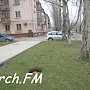 Керчане жалуются на открытый люк на улице Борзенко