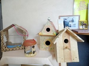 Дети изготовили и развесили кормушки для птиц