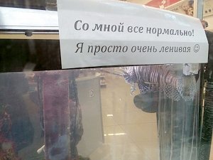 Крымчан просят не беспокоиться о судьбе рыбы