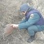 Крымские пиротехники обезвредили фугасную бомбу под Феодосией
