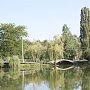 В одном из парков крымской столицы появится новая аллея