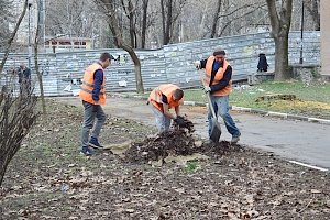 Коммунальщики Симферополя завершают санитарную обрезку деревьев и саночистку в сквере Мира