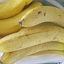 Запасливые украинские туристы распихали по чемоданам четверть тонны бананов, сухофруктов и орехов