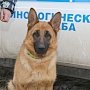 Служебная собака Юта дала возможность полицейским найти пропавшего в Симферопольском районе Республики Крым мальчика
