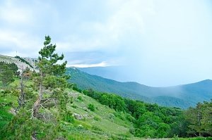 Ялтинский заповедник продолжает судиться за свои земли