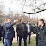 Вдоль улицы Беспалова обрезали деревья и кустарники