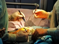 Московские хирурги провели серию обучающих операций для крымских коллег