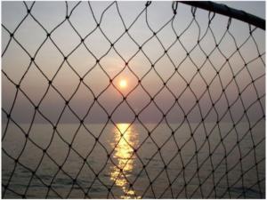 Житель Керчи вновь попался на браконьерстве: даже перекрашенная лодка не спасла от админответственности