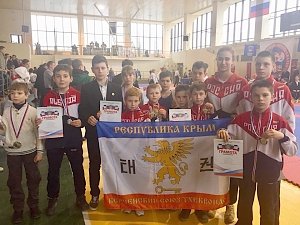Керчане привезли победы с Открытого Кубка Симферополя по тхэквондо