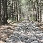 Прокуратура Севастополя потребовала убрать свалки с территорий лесничеств