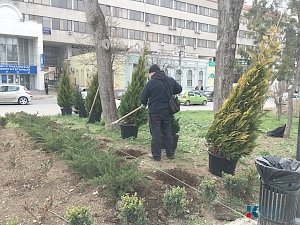 В столичном Екатерининском сквере высадили 43 граба