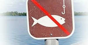 С 1 апреля в Крыму вводится нерестовый запрет на лов рыбы
