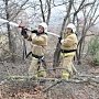 В Севастополе прошла комплексная тренировка по ликвидации крупного лесного пожара