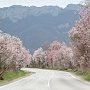 В воскресенье в Крыму до 21 градуса тепла, местами дожди