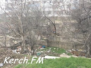 В Керчи в развалины на Буденного люди сносят мусор