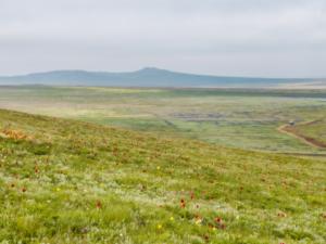 Земучасток в урочище «Кукурузное поле» в аренду на полвека предлагает взять минимущества Крыма