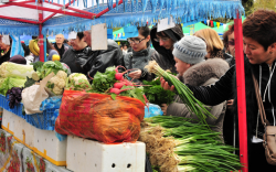 Проведение около 550 ярмарочных компаний запланировано в апреле в городах и районах Республики Крым.