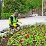 Коновалов: В парках крымской столицы в апреле начнут высаживать цветы