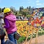 Никитский ботанический сад сделает бесплатным вход для художников в день открытия Парада тюльпанов
