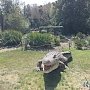 В Приморский парк заселили динозавров во главе с динозавром Василием