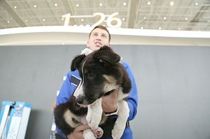 Новому терминалу аэропорта «Симферополь» подарили щенка по кличке Алиса