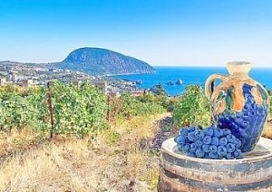 Меджлисовцы сожалеют о потере крымских виноградников