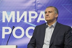 Для крымского правительства важно выработать правила работы, приемлемые для бизнеса, — Аксёнов