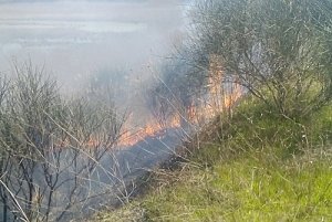 Крымские пожарные ликвидировали около 20 возгораний сухой растительности за неделю