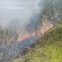 Крымские пожарные ликвидировали около 20 возгораний сухой растительности за неделю
