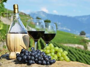 Налоговые поступления от винодельческой отрасли за последние три года возросли в 2,5 раза,- минсельхоз РК
