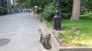 Кот Сосискин в Ялте обрел пристанище