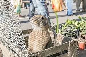 На этой неделе в Крым придёт лето