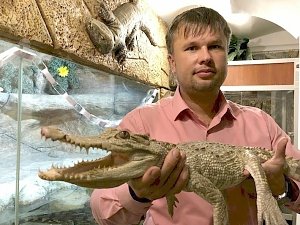 Единственный в России крокодил-альбинос появился в Ялтинском крокодиляриуме