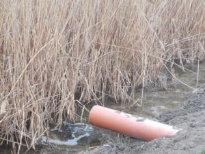 В Советском районе незаконно сбрасывали сточные воды в водный объект