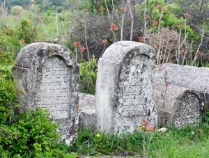 В Феодосии приведут в порядок городское мемориальное кладбище