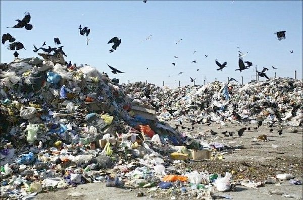 Публицист Павел Орехов: Корни проблемы мусорных свалок