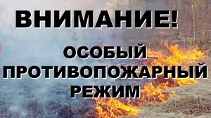 На полуострове введён особый противопожарный режим