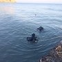 Крымские спасатели ликвидировали якорную мину времен ВОВ