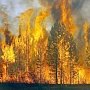 К тушению лесного пожара в Ялте привлекли вертолет