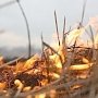 В Крыму продлили режим высокой пожароопасности