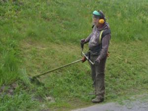 Неквалифицированно косят: Лукашева не устраивает качество работы столичных уборщиков травы