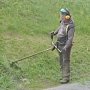 Неквалифицированно косят: Лукашева не устраивает качество работы столичных уборщиков травы