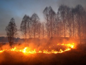 В Крыму сохраняется высокая пожароопасность