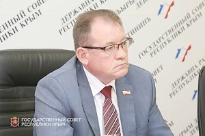 Профильный Комитет поддержал ряд законодательных инициатив субъектов РФ в сфере социальной защиты и поддержки отдельных категорий граждан