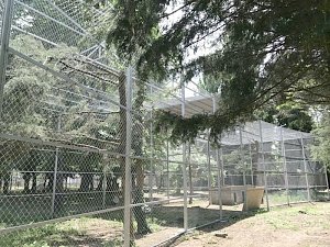 Возведение нового дома для орлов и орланов завершилось в симферопольском зооуголке