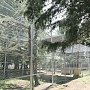 Возведение нового дома для орлов и орланов завершилось в симферопольском зооуголке