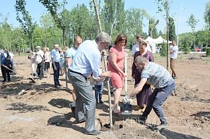 Власти Симферополя и представители бизнес-сообщества заложили в городе аллею предпринимателей из 10 сакур