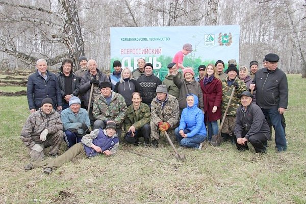 Томска область. Липовая аллея ЛКСМ появилась в Кожевниково