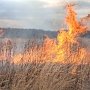 Крымские спасатели ликвидировали почти 50 возгораний травы за сутки